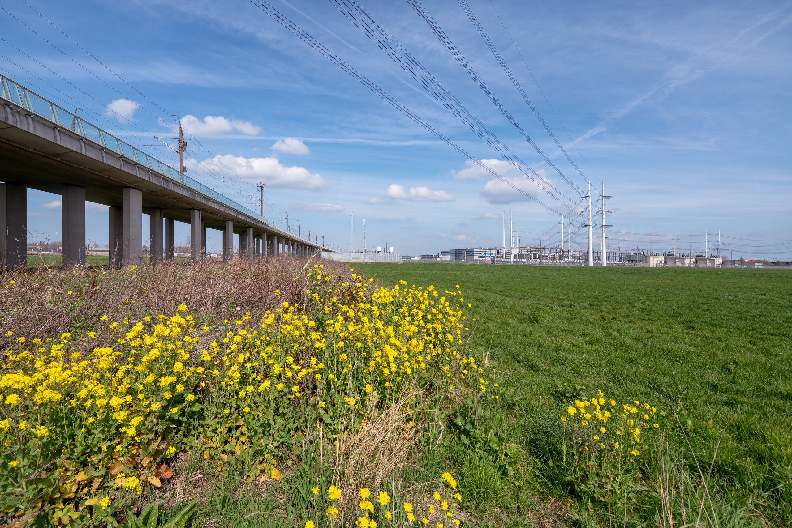 Bleizo een gemeenschappelijke opgave Afbeelding